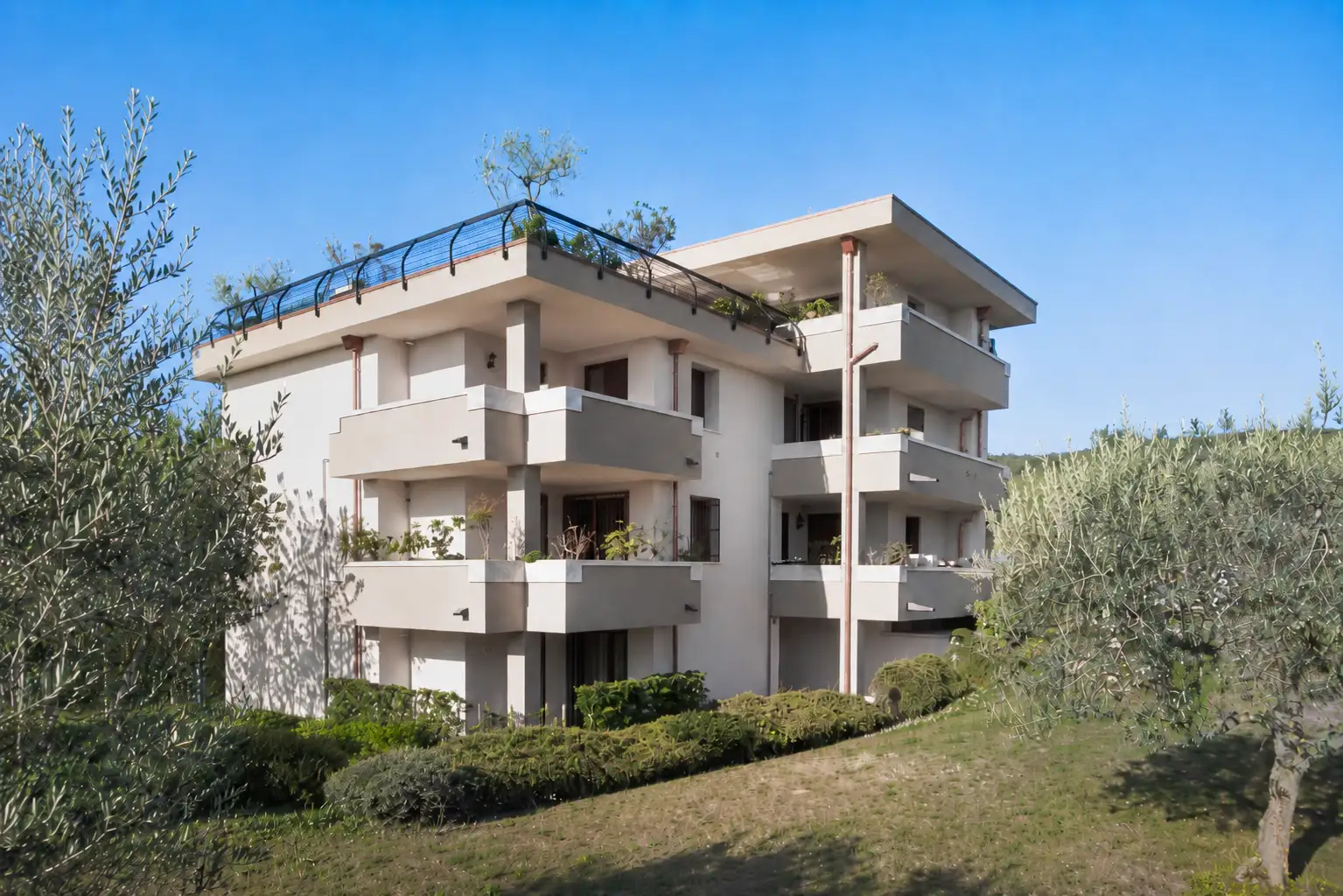 Oliveto-E_3